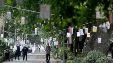 Cumhuriyet Bulvarı’nda Ağaçlar Kitap Açacak