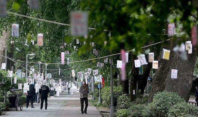 Cumhuriyet Bulvarı’nda Ağaçlar Kitap Açacak