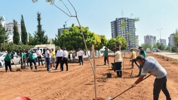 Lider Özyiğit, “Bir Metre Asfalt Yapıyorsak Onun Yerine de Beş Ağaç Dikmeliyiz”