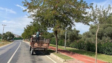 Milas Belediyesi mevsimsel bakım çalışmalarına devam ediyor