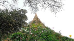 Agnes denes’in yaşayan piramit yapıtı, 30 ekim’e kadar ssm’nin bahçesinde