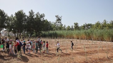 Büyükşehir Belediyesi 100. Yıl Hatıra Ormanı oluşturdu