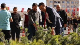 Cumhuriyet’in 100. Yılında 100 bin fidan dağıtıldı