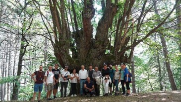 Efeler Yolu Projesine Memleketler arası Ödül