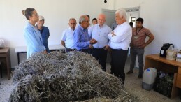 Muğla’da Büyükşehir Belediyesi’nin Ziraî Güçbirliği Projesi Üreticiye Kazandırıyor