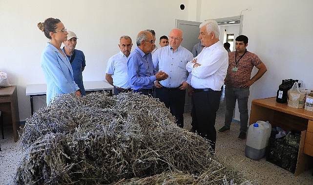 Muğla’da Büyükşehir Belediyesi’nin Ziraî Güçbirliği Projesi Üreticiye Kazandırıyor