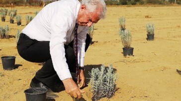 Ödemiş Belediyesi’nden “Tıbbi-Aromatik Bitki Bahçesi” atılımı