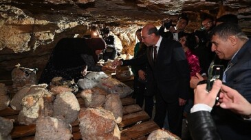 Peynir Tulumundan Birinci Hasat Programı Gerçekleştirildi