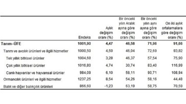 Tarım eserleri üretici fiyat endeksi (Tarım-ÜFE) yıllık yüzde 71,96, aylık yüzde 4,47 arttı