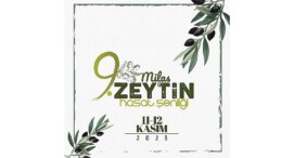 9 Milas zeytin hasat şenliği heyecanı başlıyor