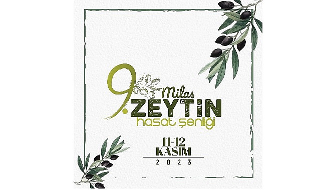 9 Milas zeytin hasat şenliği heyecanı başlıyor