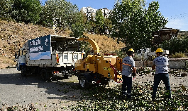 Budanan kısımlar gübreye dönüşüyor