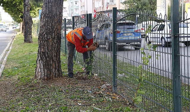 Büyükşehir’den Evliya Çelebi Caddesi’nde refüj çalışması