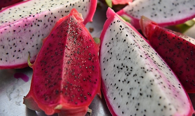 Egzotik dünyanın lezzeti : Ejder meyvesi Mustafakemalpaşa’da