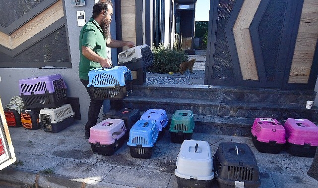 İzmir’de taşınabilir araçla kısırlaştırma hizmeti sürüyor