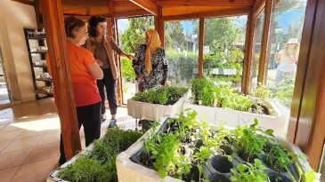 Karşıyaka’dan üretime 300 bin paket atalık tohum dayanağı