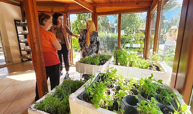 Karşıyaka’dan üretime 300 bin paket atalık tohum dayanağı