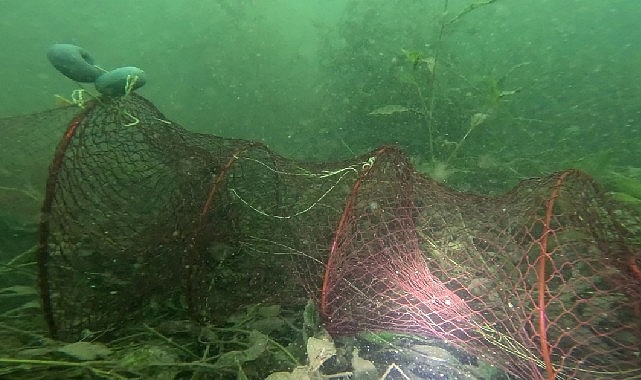 Kartepe’de sazan balığı tutma yarışı başladı