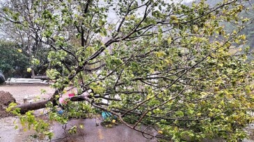 Kemer Belediye takımları teyakkuzda