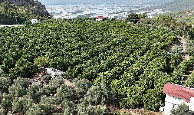 Kumlucalı üreticiler kapalı devre sulama tesisinden şad