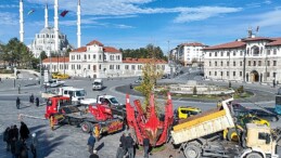 Meşhur “tek ağaç” asırlık çınar ile değiştirildi