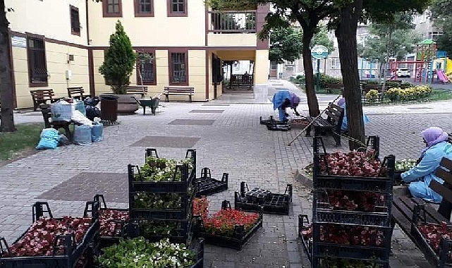 -Osmangazi Belediyesi ilçeyi çiçek bahçesine çeviriyor