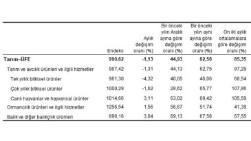 Tarım eserleri üretici fiyat endeksi (Tarım-ÜFE) yıllık yüzde 62,56 arttı, aylık yüzde 1,13 azaldı