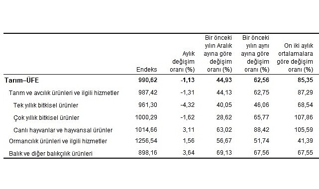 Tarım eserleri üretici fiyat endeksi (Tarım-ÜFE) yıllık yüzde 62,56 arttı, aylık yüzde 1,13 azaldı