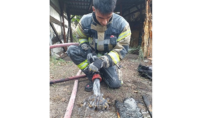 Yangından kurtarıldı suyla soğutuldu tabiata salındı