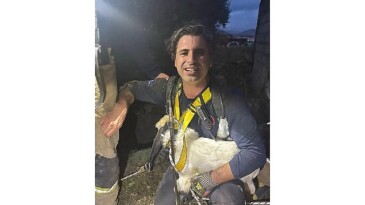 Bir aydır kayıp olan Pamuk’u İzmir İtfaiyesi sahibine kavuşturdu