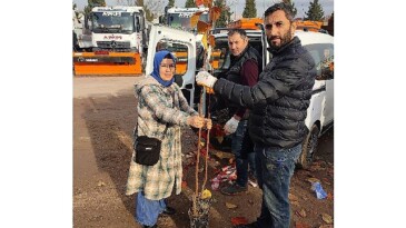 Büyükşehir’in yüzde 50 hibeli meyve fidanı dağıtımı başladı