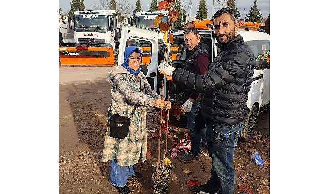 Büyükşehir’in yüzde 50 hibeli meyve fidanı dağıtımı başladı