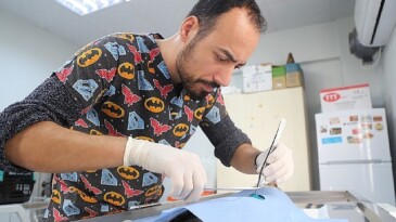 Hayvan Dostu Belediye