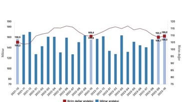 İhracat ünite kıymet endeksi yüzde 0,1 arttı