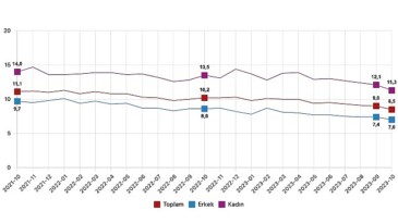 İşgücü İstatistikleri, Ekim 2023