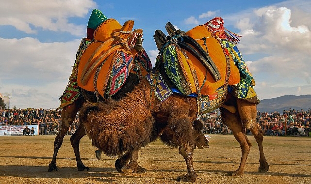 Körfezin incisi burhaniye 1. ulusal fotoğraf yarışı sonuçlandı