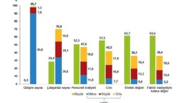 Küçük ve Orta Büyüklükteki Teşebbüs İstatistikleri, 2022