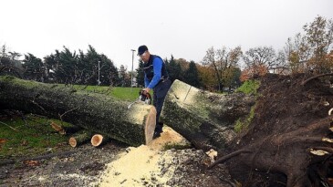 Osmangazi’de lodosun tesirleri temizleniyor