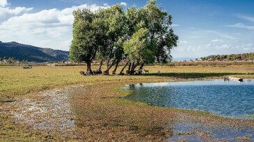 Sulak Alanlar için Olumlu Karar