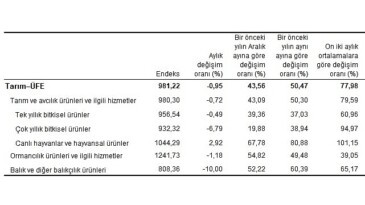 Tarım eserleri üretici fiyat endeksi (Tarım-ÜFE) yıllık yüzde 50,47 arttı, aylık yüzde 0,95 azaldı