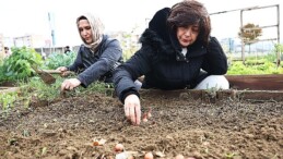 Tarımda mahalle seferberliği bu bostanlar halkın