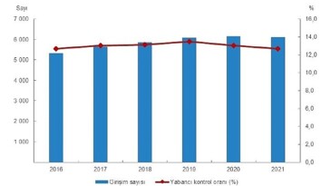 Yabancı Denetimli Teşebbüs İstatistikleri, 2021