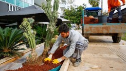 Antalya Büyükşehir Belediyesi kenti renklendiriyor