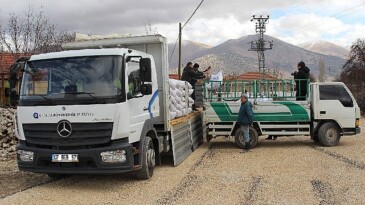 Antalya Büyükşehir Belediyesi’nin süt yemi takviyesi sürüyor
