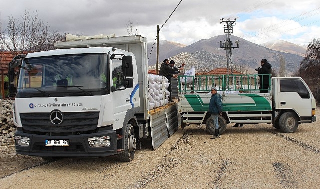 Antalya Büyükşehir Belediyesi’nin süt yemi takviyesi sürüyor