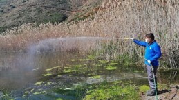 Antalya Büyükşehir vektörel çabayı kışın da sürdürüyor