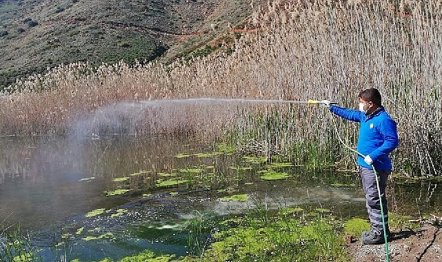 Antalya Büyükşehir vektörel çabayı kışın da sürdürüyor