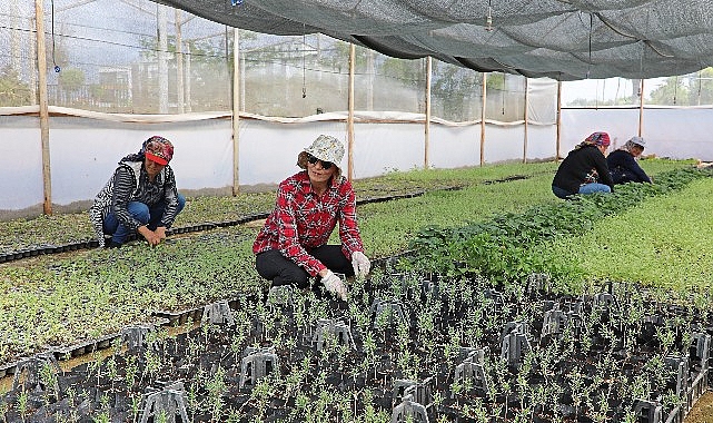 Büyükşehir Belediyesi’nden tarıma büyük takviye