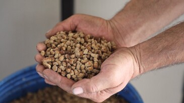 Büyükşehir Can Dostlar İçin Mama Üretiyor