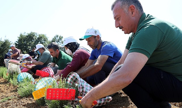 Büyükşehir’den tarıma 236 milyon 210 bin TL takviye